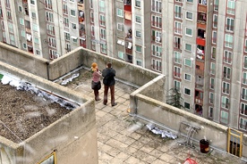 Ljubav i drugi zlocini (2008)