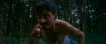Marko Plantan in Jama (2024).