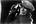 Trst (1951)